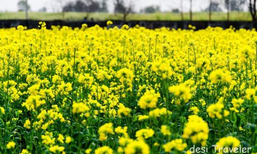 ecc3cac58653d82e0540f930ec7fea10